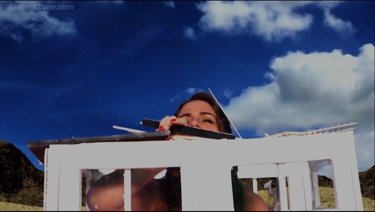 First growth sequence -- out of house