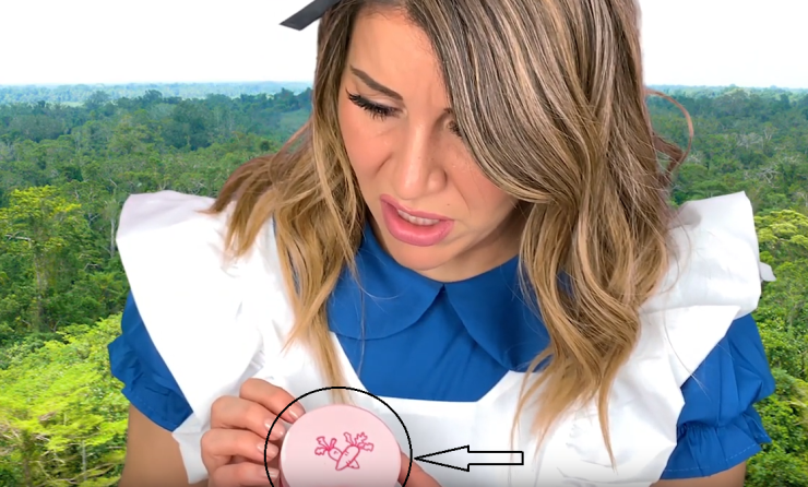 6 - Small version of previously used cookie container