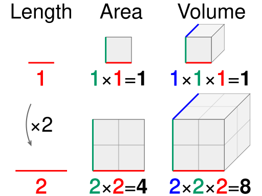 Size In Maths How to Use the Sizechange Calculator – There She Grows